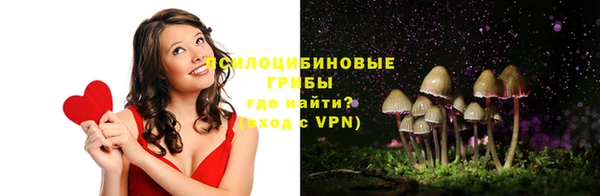 таблы Белокуриха