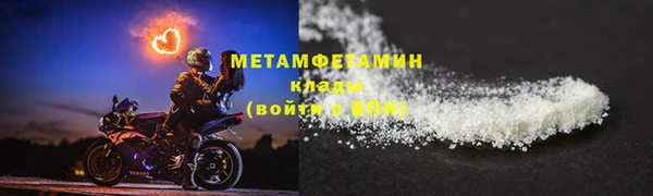 сатива Беломорск