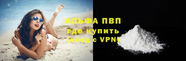 сатива Беломорск