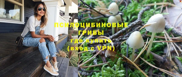 гидропоника Богородицк