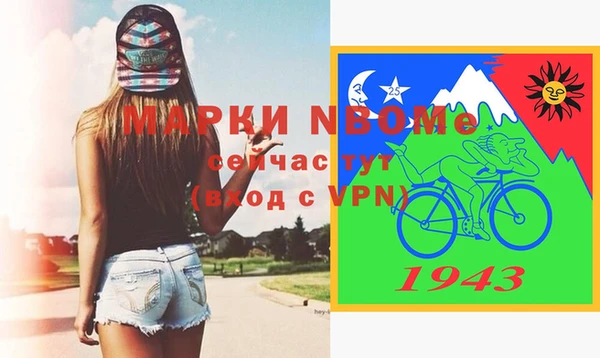 сатива Беломорск