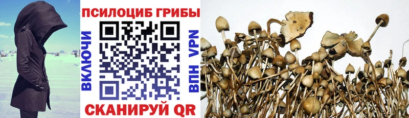 Псилоцибиновые грибы мухоморы  цена наркотик  Волосово 