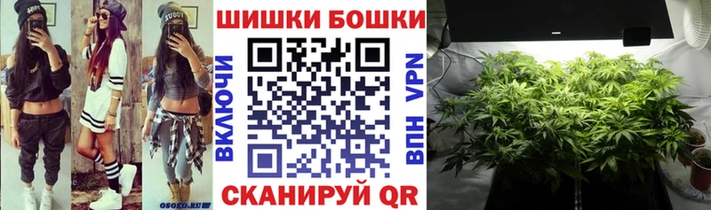 Конопля план  Волосово 